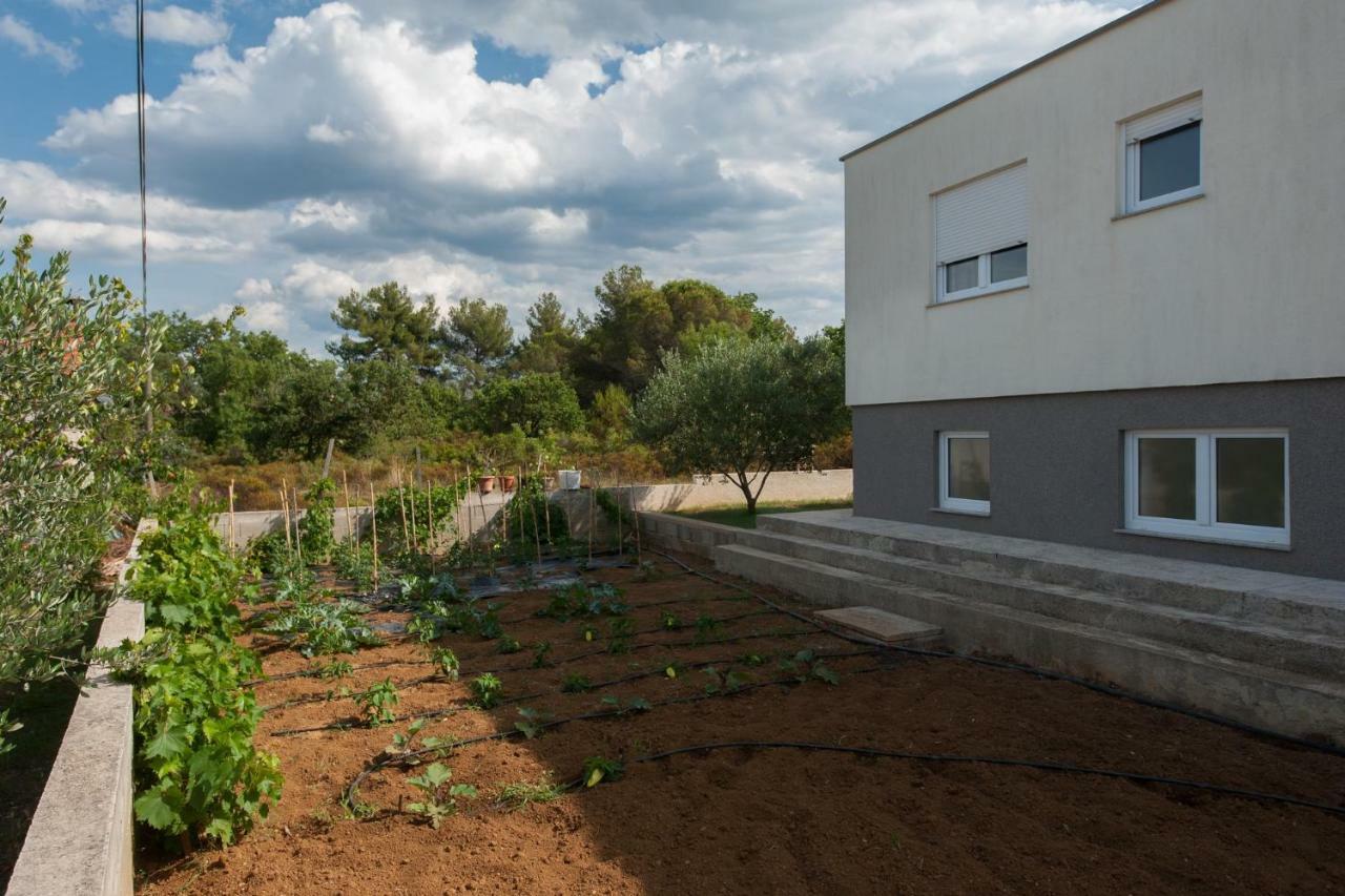 Villa Karla Debeljak - Zadar Exteriér fotografie